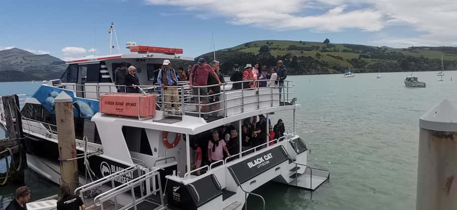From Christchurch: Akaroa Day Tour with Optional Cruise - Price and What You’re Really Paying For