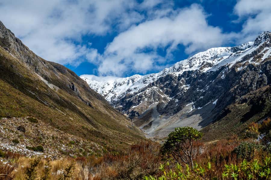 From Christchurch: Arthur's Pass with TranzAlpine & Lunch - Castle Hill Village and the limestone that sparked imagination