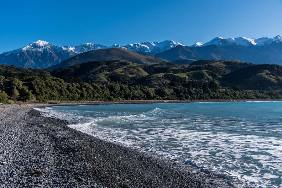From Christchurch: Kaikōura Day Tour With Dolphin Encounter - Cheviot break time and Hundalee Hills viewpoints