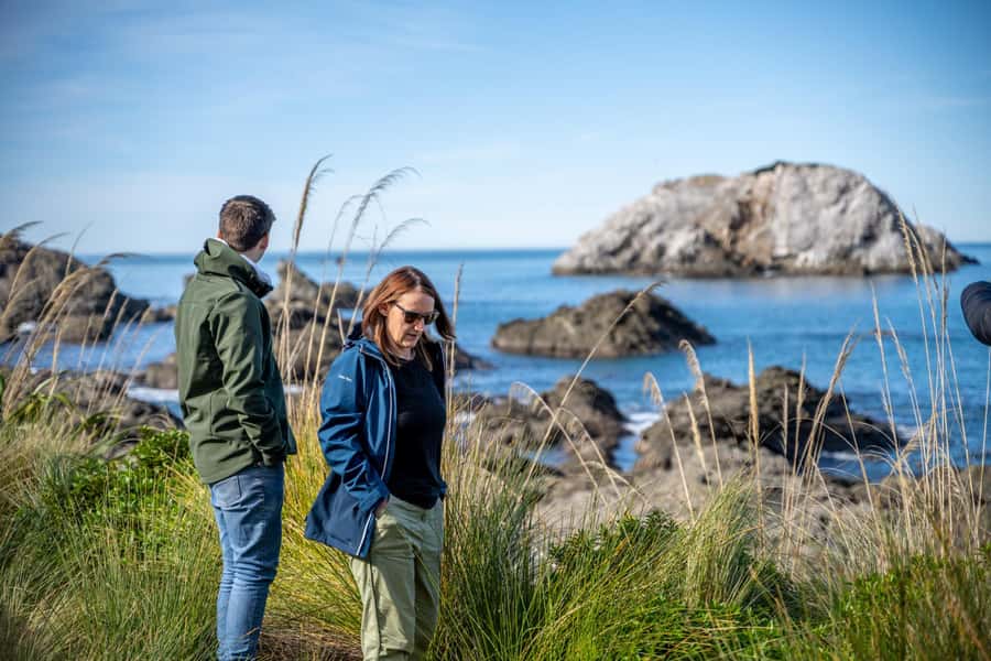 From Christchurch: Kaikōura Day Tour With Dolphin Encounter - Price and value: is $206 per person fair?