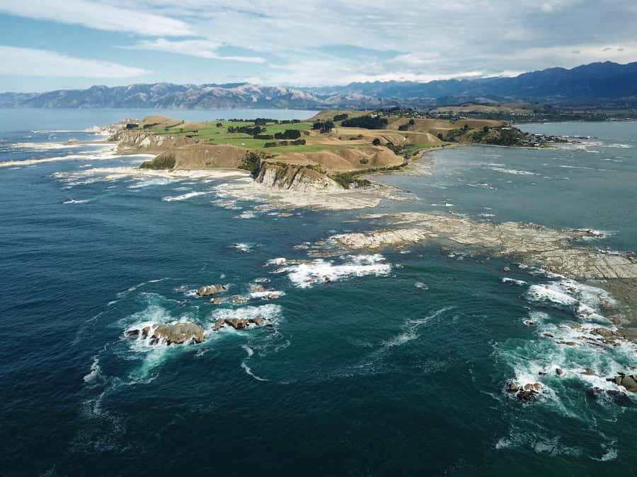 From Christchurch: Kaikōura Day Tour With Dolphin Encounter - The long drive from Christchurch, and why the route matters