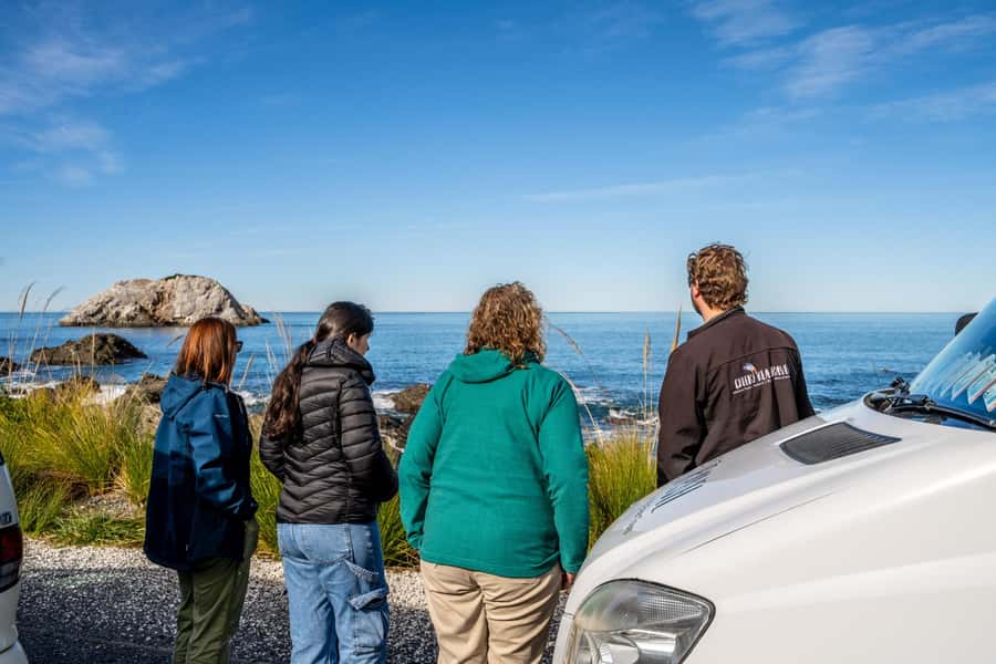 From Christchurch: Kaikōura Day Tour with Whale Watching - Waipara wine tasting: nice add-on, not a sure thing