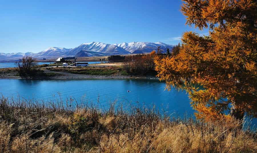 From Christchurch: Queenstown via Tekapo & Mt Cook Day Trip - Aoraki Mt Cook National Park: your walk choice matters more than you think