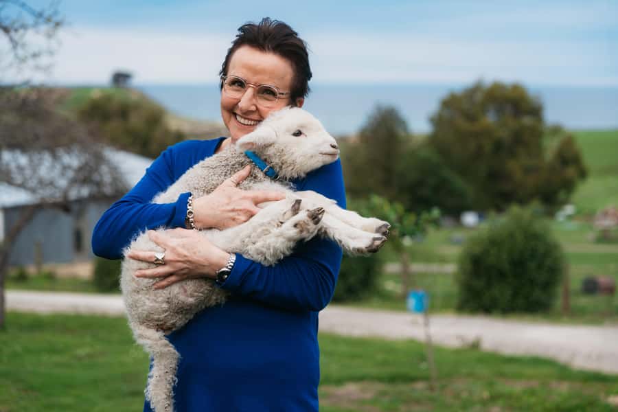From Christchurch: Sheep Farm Experience with Lunch & Winery - Key highlights you will feel right away