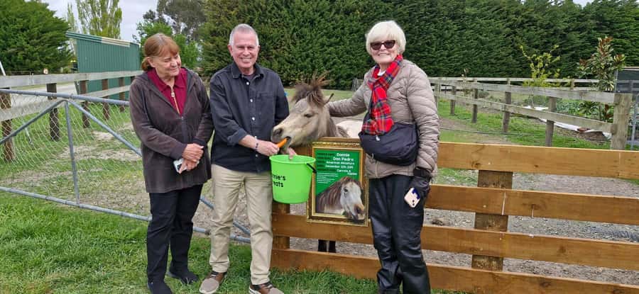 From Christchurch: Sheep Farm Experience with Lunch & Winery - A working sheep farm plus Waipara wine, for one tight 6-hour loop