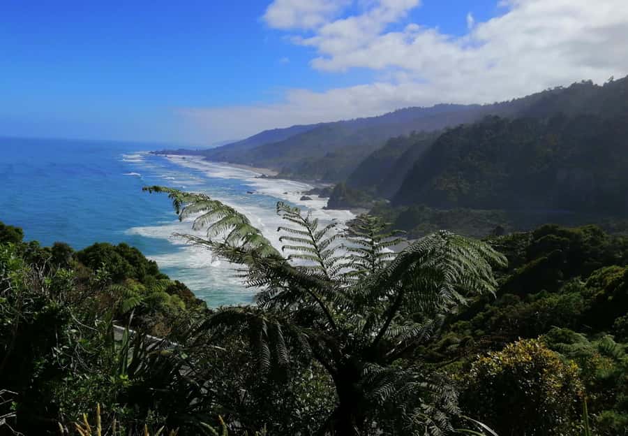From Greymouth: Highlights West Coast Day Tour - Key highlights you will feel immediately