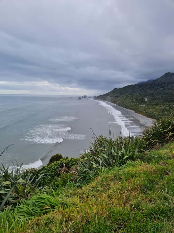 From Greymouth: Highlights West Coast Day Tour - Tauranga Bay seals: wildlife viewing that does not turn into a stunt