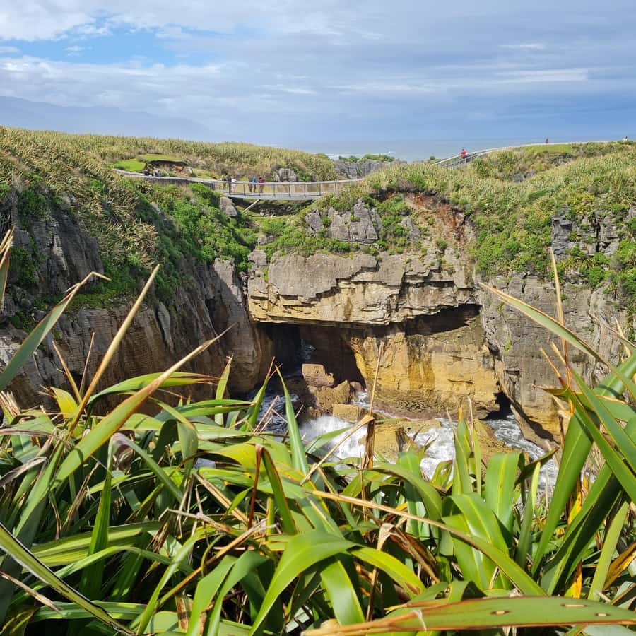From Greymouth: Highlights West Coast Day Tour - Reefton Distillery, plus time to walk the town