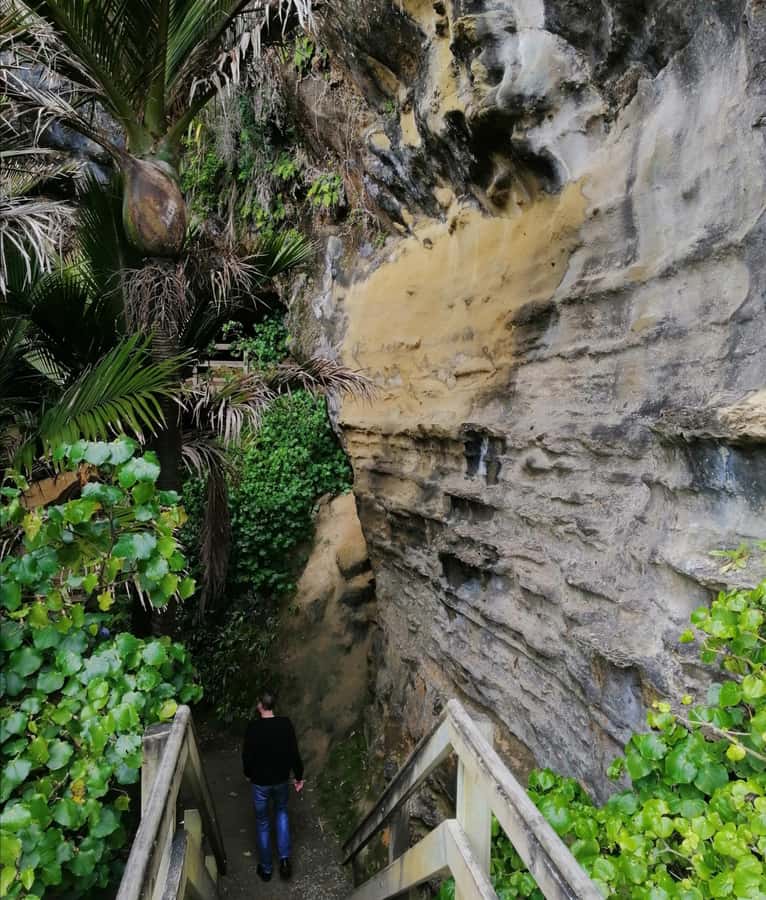 From Greymouth: Highlights West Coast Day Tour - Pacing, group size, and why the guide style matters