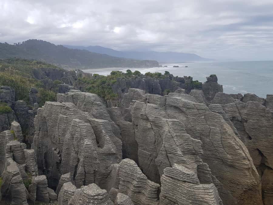 From Greymouth: Punakaiki Blowholes & Pancake Rocks Tour - Key highlights at a glance