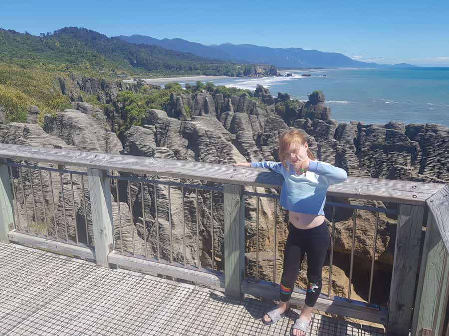 From Greymouth: Punakaiki Blowholes & Pancake Rocks Tour - Reading the West Coast up close: wildlife and native plant panels