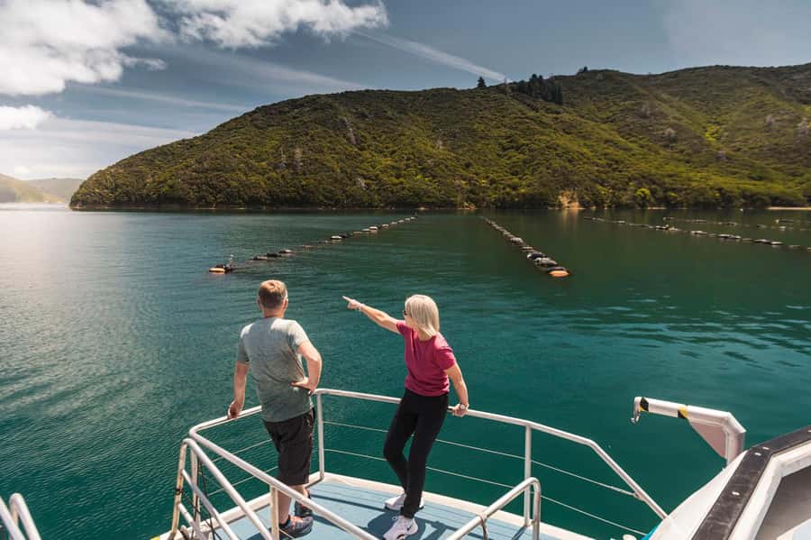 From Havelock: Marlborough Sounds Mail Boat Full-Day Cruise - Greenshell Mussel Farm stop, when the weather agrees
