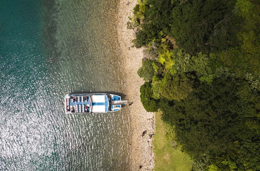 From Havelock: Marlborough Sounds Mail Boat Full-Day Cruise - Lunch picnic-style, and how to pack for 6 hours