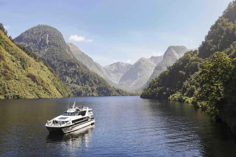 From Manapouri: Doubtful Sound Wilderness Day Trip - Price and value: what $208 gets you in remote Fiordland