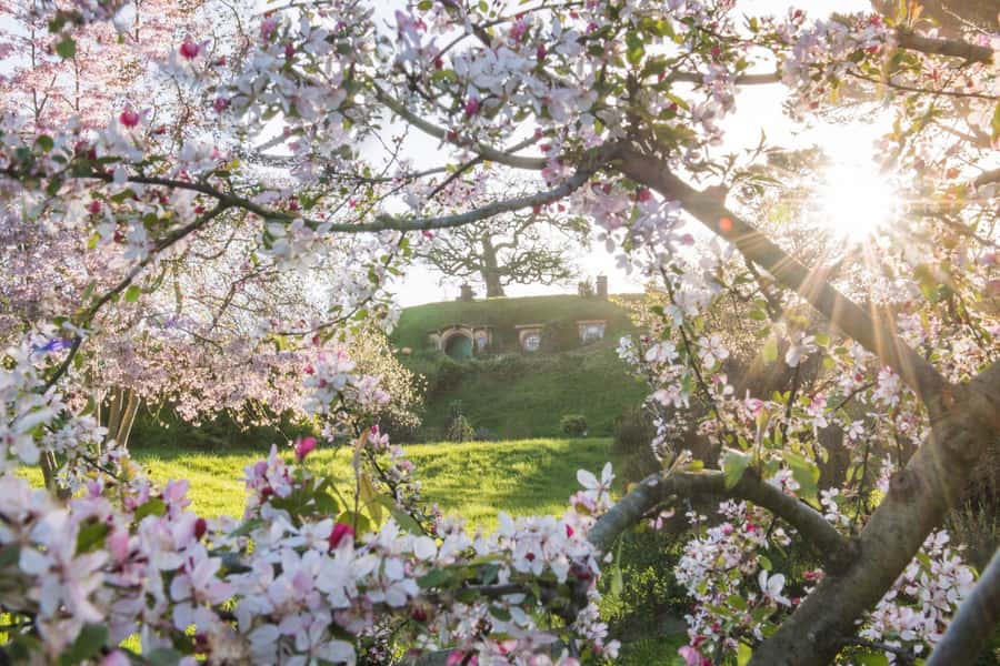 From Matamata: Guided Hobbiton Experience with Bus Transfers - Weather, shoes, and the uneven ground reality