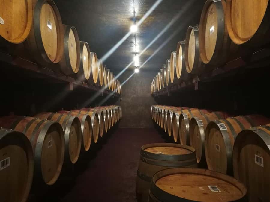 From Napier: Hawke's Bay Small Group Wine Capita Tour - Comfort Checklist: What to Bring and the 100 Metre Walking Rule
