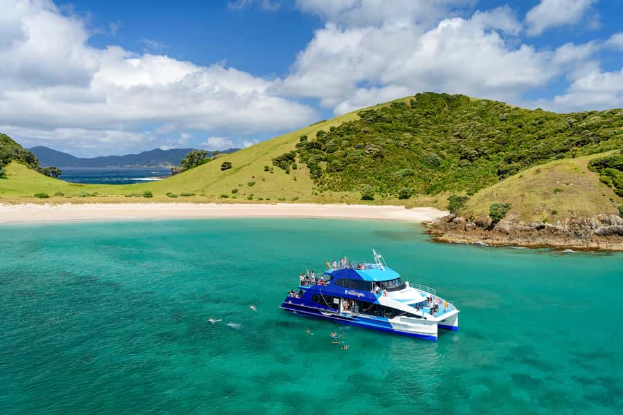 From Paihia: Full-Day Bay of Islands Cruise - Key points to know before you go