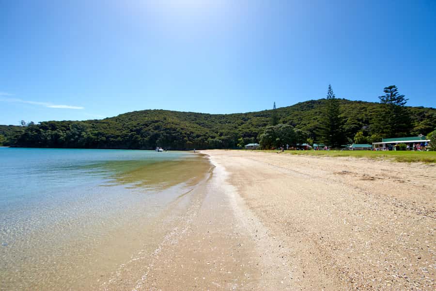 From Paihia: Full-Day Bay of Islands Cruise - Boom-netting and the best kind of silly fun