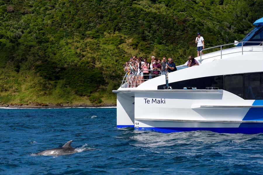 From Paihia: Full-Day Bay of Islands Cruise - Price and value: does $116 make sense for a full day?