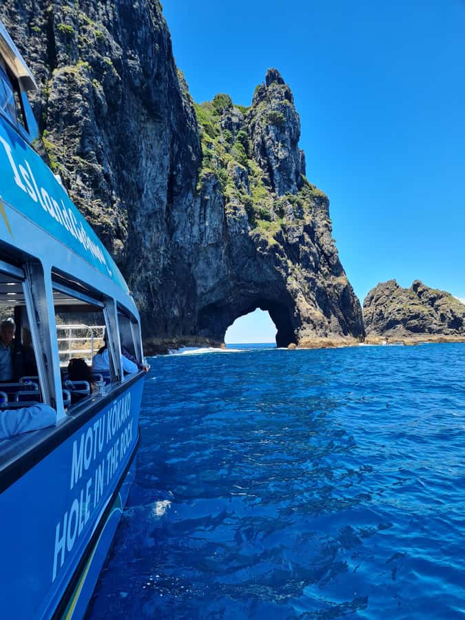 From Paihia: Hole in the Rock Cruise & Island Tour: 3 Hour - Key things to know before you go