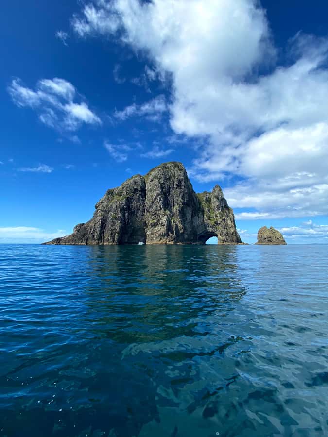 From Paihia: Hole in the Rock Cruise & Island Tour: 3 Hour - Why this Hole in the Rock cruise works in just 3 hours
