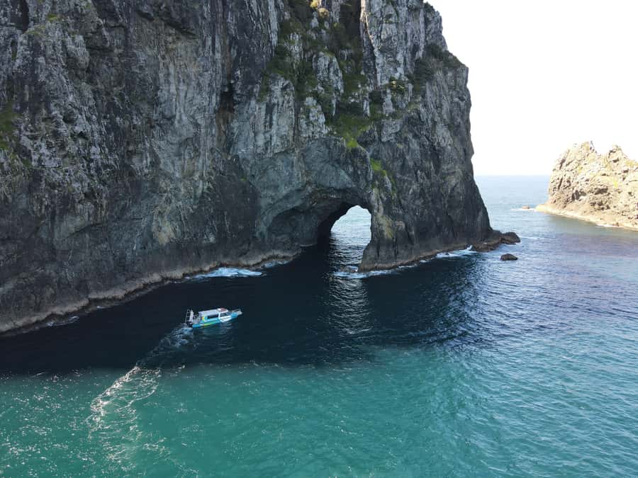 From Paihia: Hole in the Rock Cruise & Island Tour: 3 Hour - Hole in the Rock: what you’ll actually experience from the water