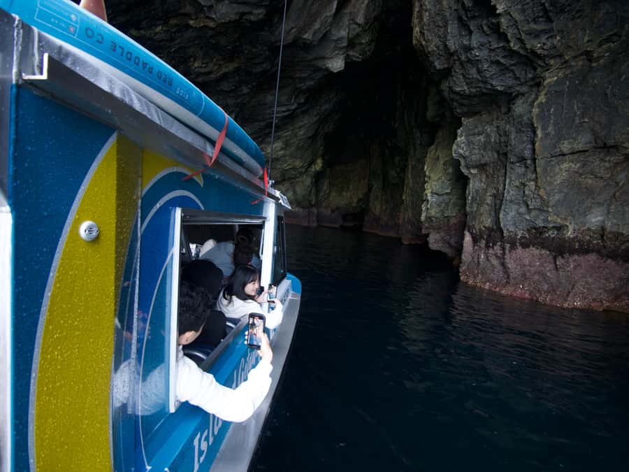 From Paihia: Hole in the Rock Cruise & Island Tour: 3 Hour - Price and value: is $86 a good deal for the Bay of Islands?