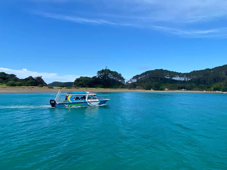 From Paihia: Hole in the Rock Cruise & Island Tour: 3 Hour - Who should book this, and who should pass