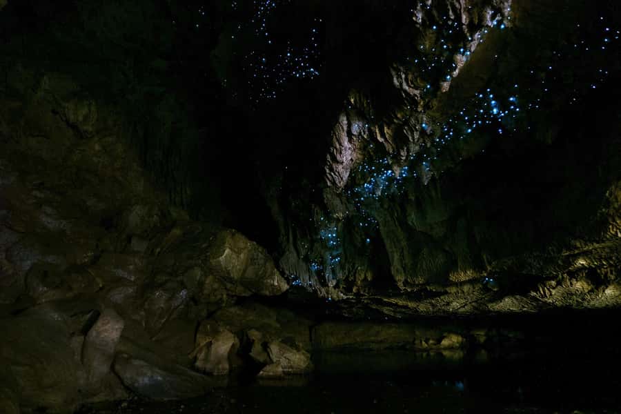 From Paihia: Kawiti Glowworm Caves Guided Tour - Key highlights worth planning for