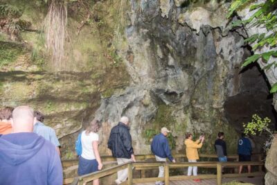 Kawiti Glowworm Caves Guided Tour