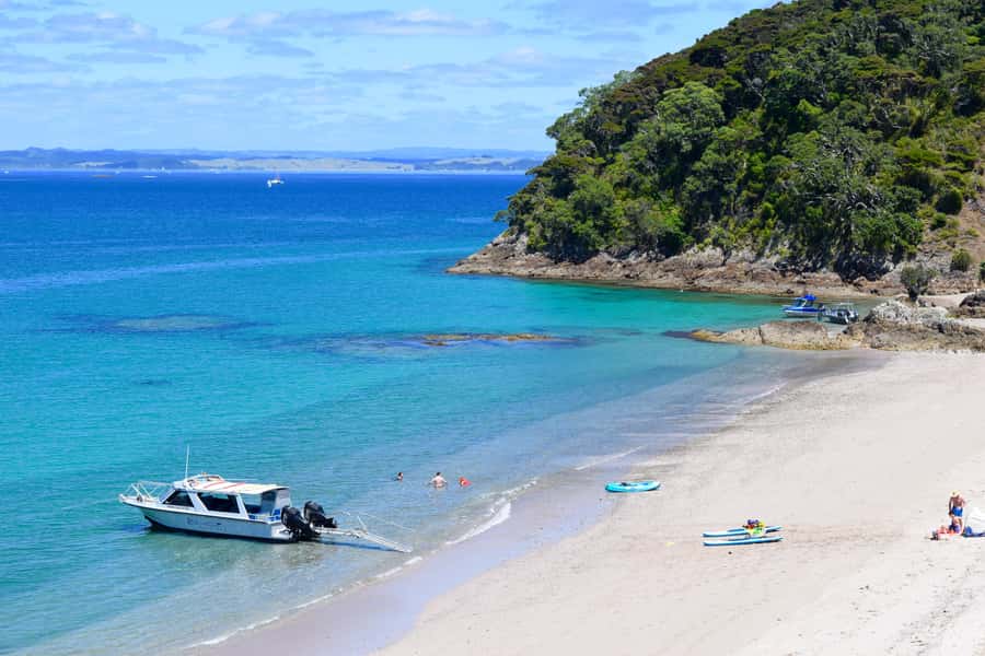 From Paihia: Scenic Cruise with Roberton Island Stopover - Key things I’d plan for before you go