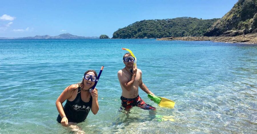 From Paihia: Scenic Cruise with Roberton Island Stopover - Who should book this cruise from Paihia