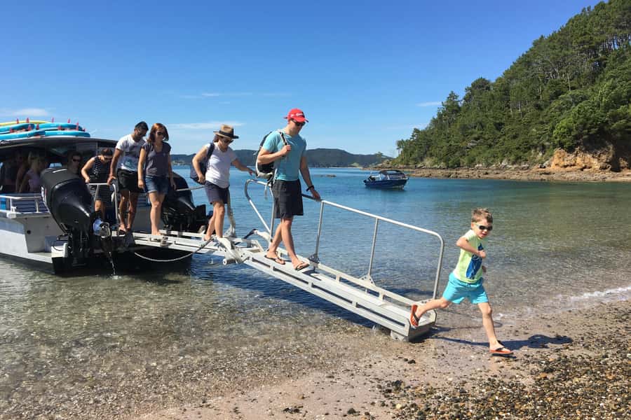 From Paihia: Scenic Cruise with Roberton Island Stopover - Wildlife spotting with real guidance, not guesswork
