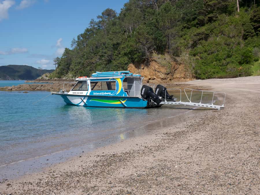 From Paihia: Scenic Cruise with Roberton Island Stopover - Hole in the Rock and Cape Brett Lighthouse, with weather-smart routing