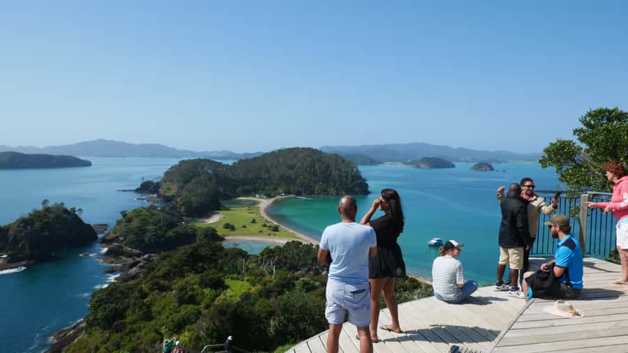 From Paihia: Scenic Cruise with Roberton Island Stopover - How the 3-hour timing feels in real life
