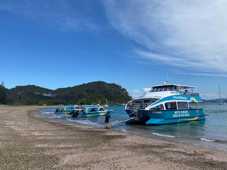 From Paihia: Scenic Cruise with Roberton Island Stopover - Comfort on the boat and what to bring for a short cruise