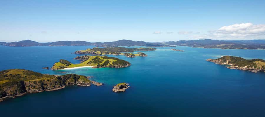 From Paihia: Scenic Cruise with Roberton Island Stopover - Price and value: what $78 gets you, and why small groups matter