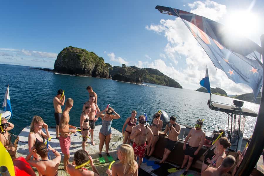 From Paihia: The Rock Adventure Overnight Cruise - Night Kayaking Under the Stars, Including Phosphorescence