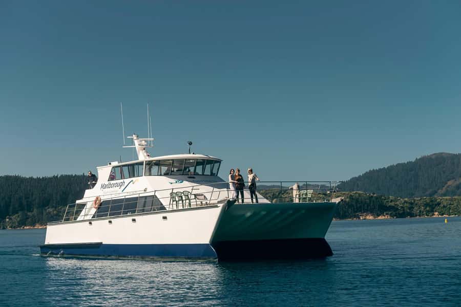 From Picton: Marlborough Sounds Cruise with Seafood - Marine farming in plain language, paired with real seafood