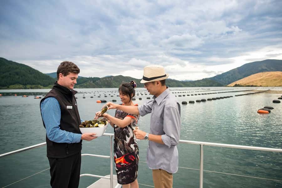 From Picton: Marlborough Sounds Cruise with Seafood - Drinks and comfort: what is included and what you can buy