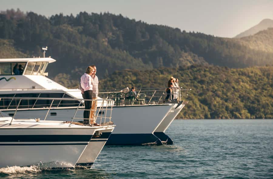 From Picton: Marlborough Sounds Cruise with Seafood - Price and value: is $107 per person a good deal?