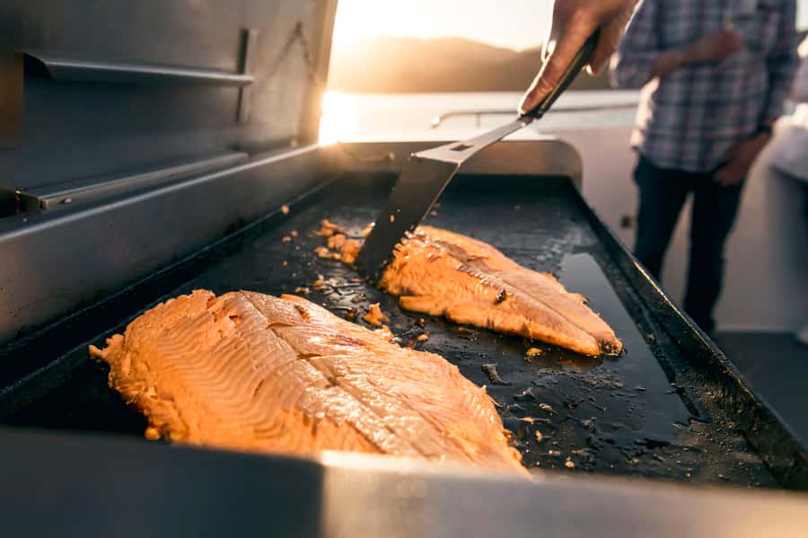 From Picton: Marlborough Sounds Cruise with Seafood - Who this Marlborough Sounds cruise suits best