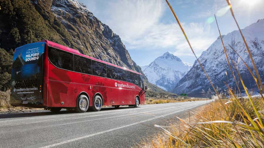 From Queenstown: Coach, Farm Tour & Milford Nature Cruise - Milford Sound nature cruise: two hours of waterfalls and wildlife chances