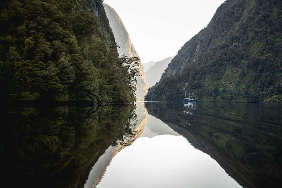From Queenstown: Doubtful Sound Wilderness Day Trip - Should you book this Doubtful Sound tour?
