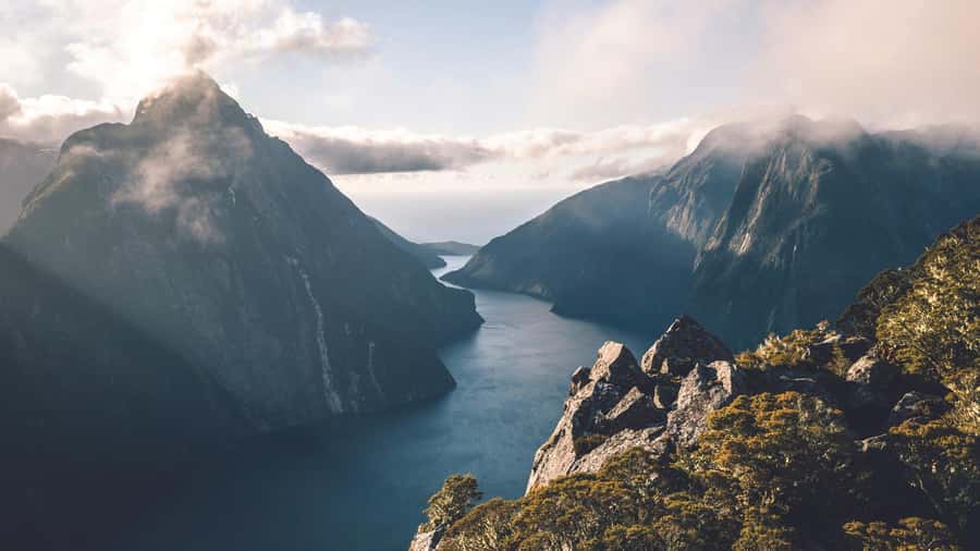 From Queenstown: Milford Sound Business Class with Cruise - Five-Course Tasting Menu With a Sustainability-First Approach