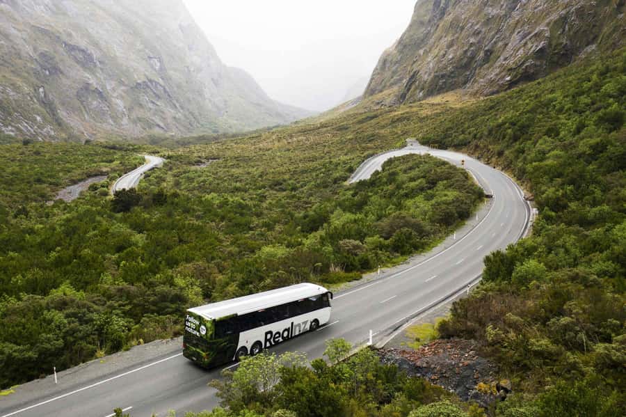 From Queenstown: Milford Sound Cruise and Coach Day Tour - Queenstown to Milford Sound: the 88 Beach Street departure that sets the pace