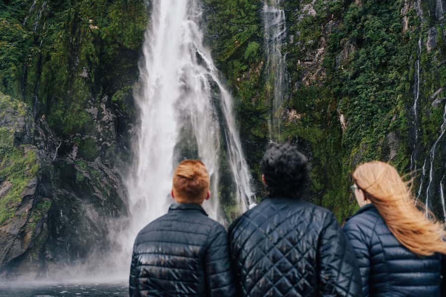 From Queenstown: Milford Sound Cruise and Scenic Drive - Key highlights worth your attention