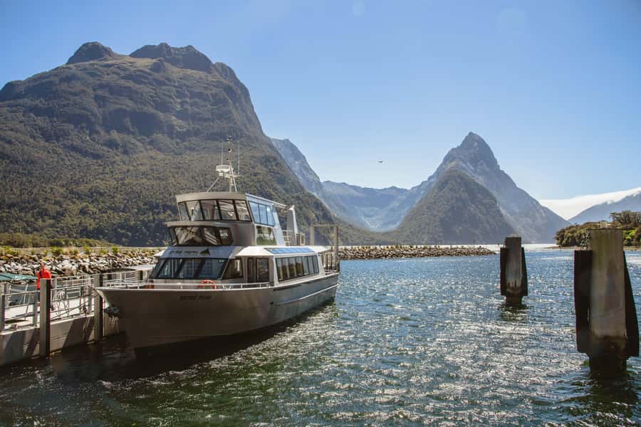 From Queenstown: Milford Sound Cruise and Scenic Drive - Fiordland transit and the mood shift before the boat