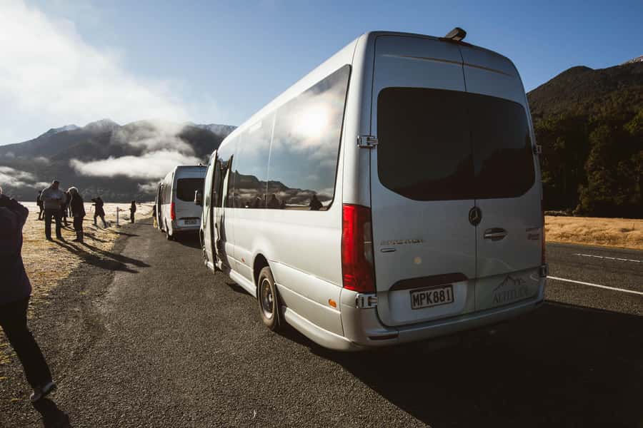From Queenstown: Milford Sound Cruise and Scenic Drive - Wildlife spotting: seals, dolphins, and penguins seasonally