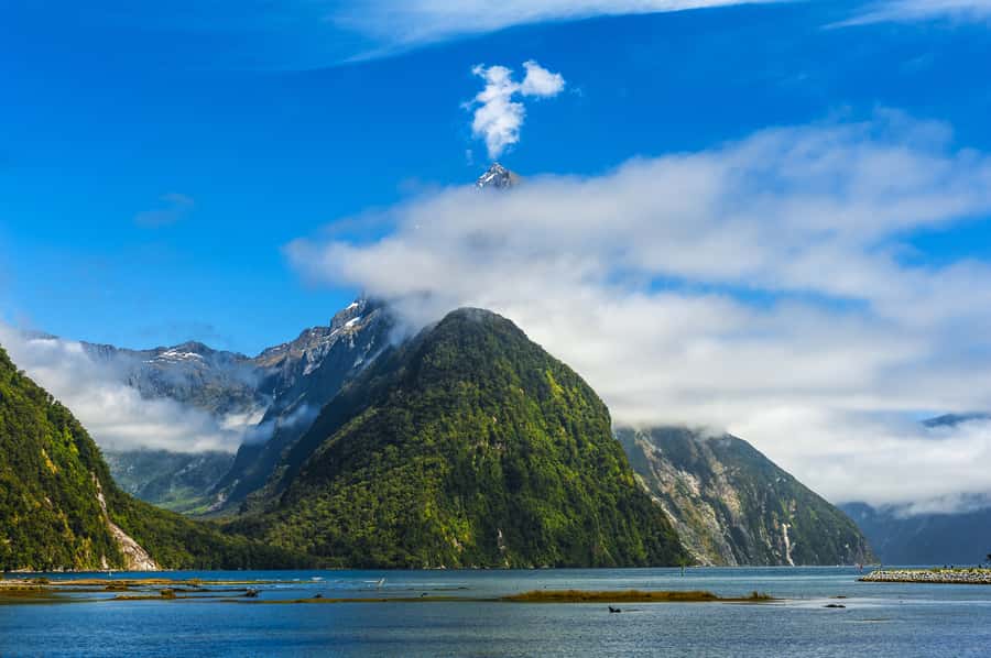 From Queenstown Milford Sound Cruise & Glass-Roof Coach Tour - Lake Te Anau to the Southern Alps: photo stops that reward the stops-and-go timing
